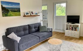 Hahnenklee Charme - moderne neue Ferienwohnung mit 2 Balkons