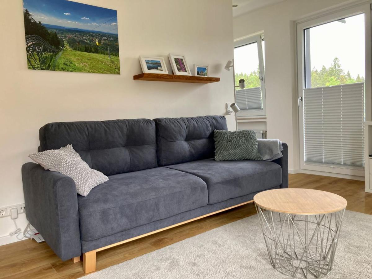 Hahnenklee Charme - moderne neue Ferienwohnung mit 2 Balkons Goslar Exterior foto