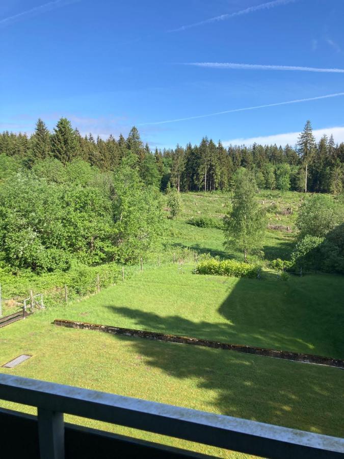 Hahnenklee Charme - moderne neue Ferienwohnung mit 2 Balkons Goslar Exterior foto