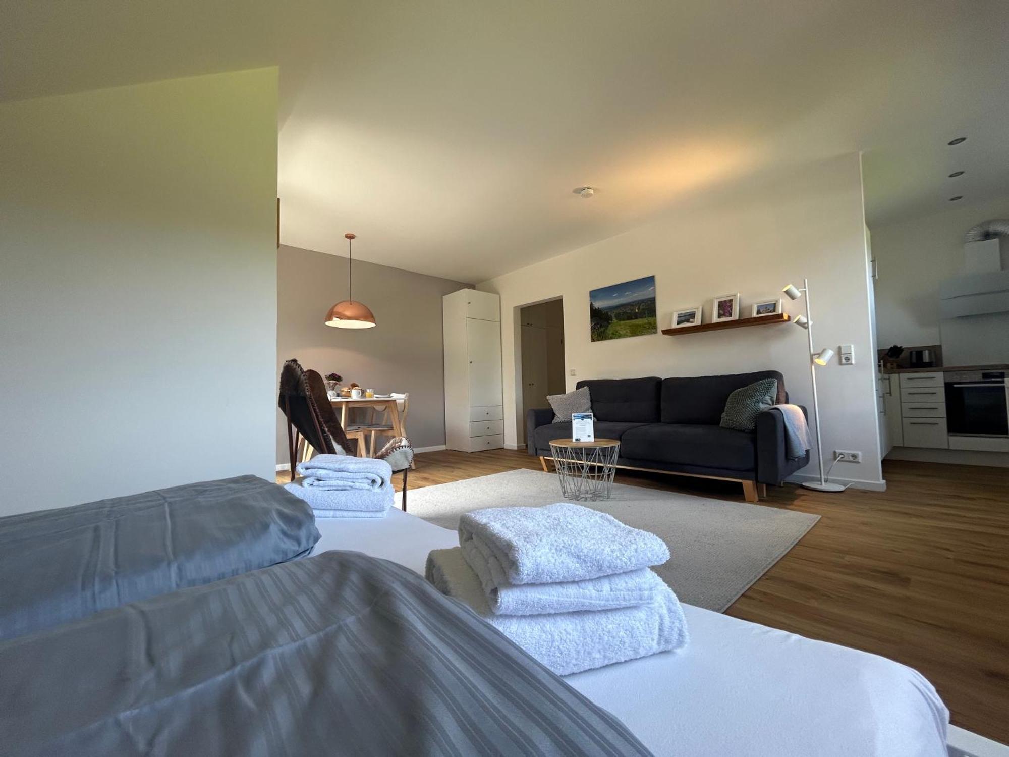 Hahnenklee Charme - moderne neue Ferienwohnung mit 2 Balkons Goslar Exterior foto